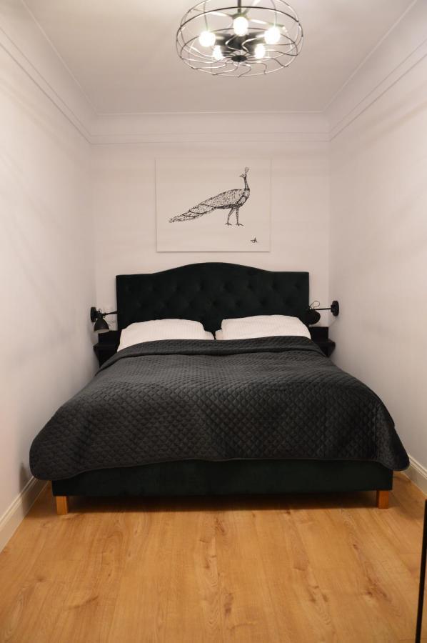 Apartamenty Szeroka 32 Stary Toruń Exteriör bild